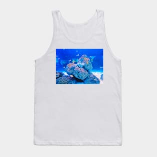 clownfish, anemonefish, aquarium, fish, ocean, sea, aquatic, anemone, clown fish, colorful, clown, coral, water, marine, tropical fish Tank Top